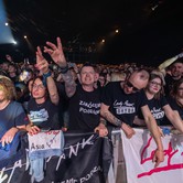 LADY PANK 2025-04-11