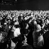 LADY PANK 2025-04-11