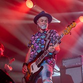 LADY PANK 2025-04-11