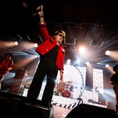 LADY PANK 2025-04-12