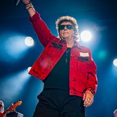 LADY PANK 2025-04-12