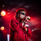 LADY PANK 2025-04-12