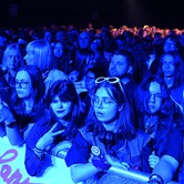 LADY PANK 2025-04-11