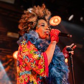 MACY GRAY 2025-06-08