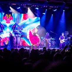 Kayah, 6.11.2025, Klub Stodoła, Fot. Magdalena Kosewska