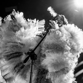 KAYAH - URODZINOWY KONCERT 2025-11-06