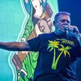 KULT (KATOWICE) 2025-11-15