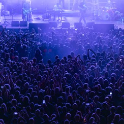 Kult, 15.11.2025, Spodek, Katowice, Fot. Wiktoria Piersiala-Gawlik