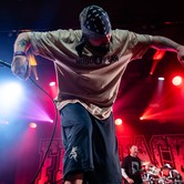 LUXTORPEDA + FLAPJACK 2026-02-21