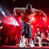 LUXTORPEDA + FLAPJACK 2026-02-21