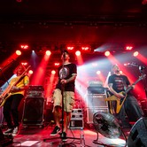 LUXTORPEDA + FLAPJACK 2026-02-21