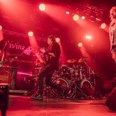 LUXTORPEDA + FLAPJACK 2026-02-21