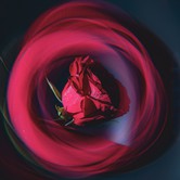 NATALIA PRZYBYSZ 2026-03-08