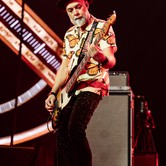 45-LECIE LADY PANK (COS TORWAR) 2026-03-14