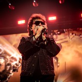 45-LECIE LADY PANK (COS TORWAR) 2026-03-14