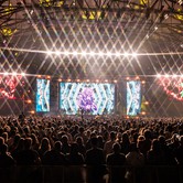 45-LECIE LADY PANK (COS TORWAR) 2026-03-14