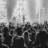 45-LECIE LADY PANK (COS TORWAR) 2026-03-14