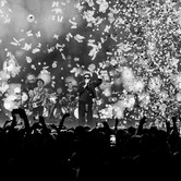 45-LECIE LADY PANK (COS TORWAR) 2026-03-14