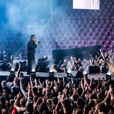 45-LECIE LADY PANK (COS TORWAR) 2026-03-14