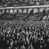 45-LECIE LADY PANK (COS TORWAR) 2026-03-14