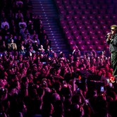 45-LECIE LADY PANK (COS TORWAR) 2026-03-14