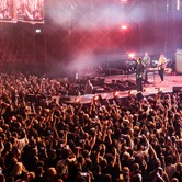 45-LECIE LADY PANK (COS TORWAR) 2026-03-14