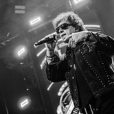 45-LECIE LADY PANK (COS TORWAR) 2026-03-14