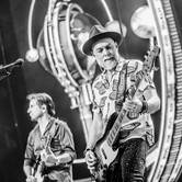 45-LECIE LADY PANK (COS TORWAR) 2026-03-14