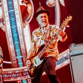 45-LECIE LADY PANK (COS TORWAR) 2026-03-14