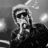 45-LECIE LADY PANK (COS TORWAR) 2026-03-14