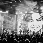 45-LECIE LADY PANK (COS TORWAR) 2026-03-14