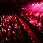 WYFE (CZ) | SUPPORTED BY LIVEUROPE 2026-04-24