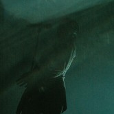 KASIA LINS - OBYWATELKA K.L. 2026-04-26