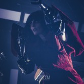 PUSCIFER 2026-10-28